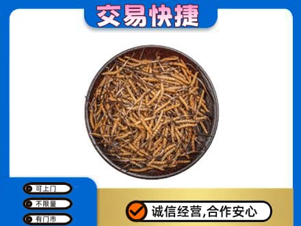 成都市锦江回收散虫草